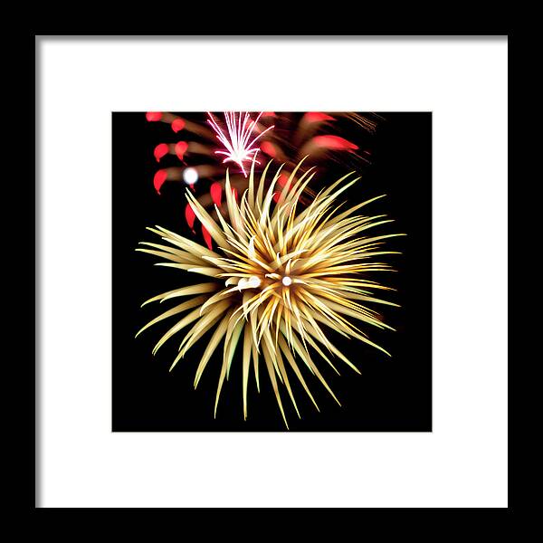 Fireworks Framed Print featuring the photograph Flowerworks #40 by Sandy Swanson