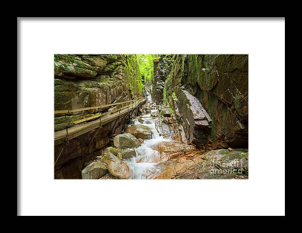 The Flume Framed Print featuring the photograph Flume Walkway by Alana Ranney