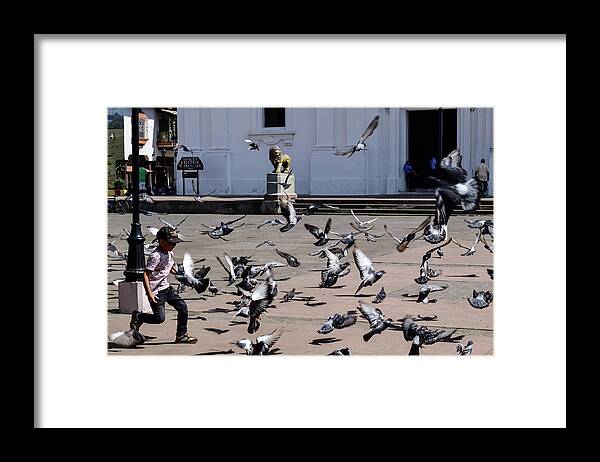 Innocence Framed Print featuring the photograph Fly Birdies Fly by Nicole Lloyd