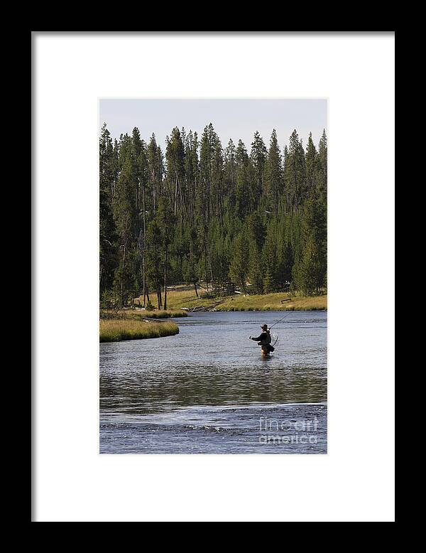 Flyfishing Framed Print featuring the photograph Fly Fishing in the Firehole River Yellowstone by Dustin K Ryan