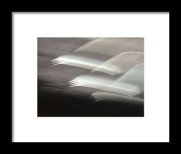 Abstract Framed Print featuring the photograph Fly From The Darkness by Denise Clark