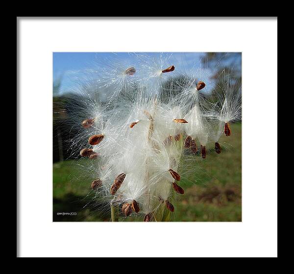 Scarlet Milkweed Framed Print featuring the photograph Flying Away by Kerry Beverly