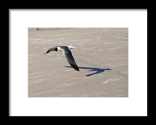 Eric Liller Framed Print featuring the photograph Flying Low by Eric Liller
