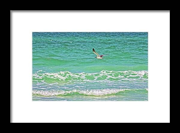 Gulf Of Mexico Framed Print featuring the photograph Flying Solo by HH Photography of Florida