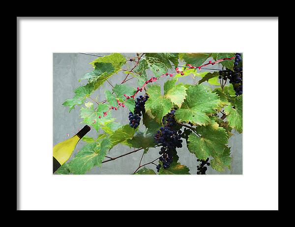 Grapes Framed Print featuring the photograph Flying wine by Dan Friend