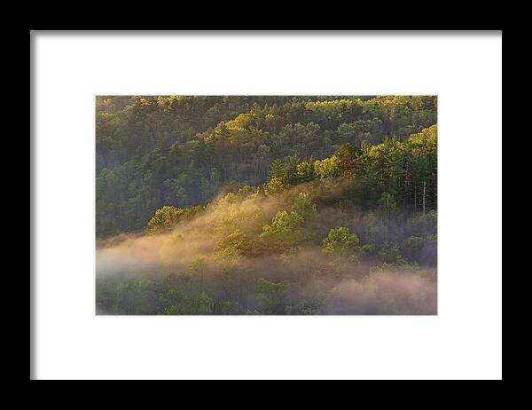 Mill Creek Lake Framed Print featuring the photograph Fog playing in the forest by Ulrich Burkhalter