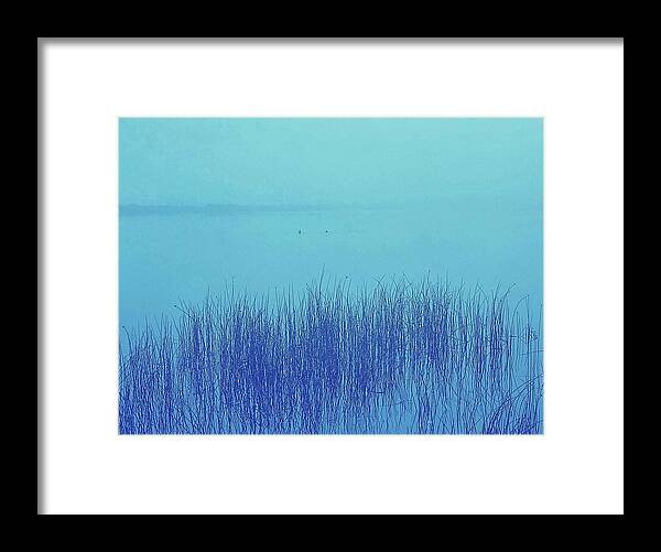  Framed Print featuring the photograph Fog Reeds by Laurie Stewart