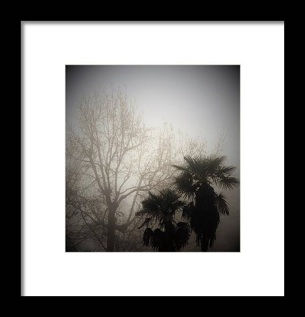 Fog Framed Print featuring the photograph Foggy Bottoms by John Glass