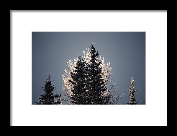 Alaska Framed Print featuring the photograph Foggy Days and Foggy Nights by Fred Denner