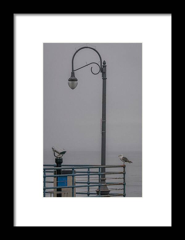 Seagull Framed Print featuring the photograph Foggy Morning by Ernest Echols