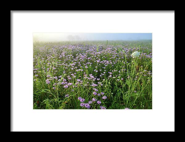 Mchenry County Conservation District Framed Print featuring the photograph Foggy Morning in Glacial Park by Ray Mathis