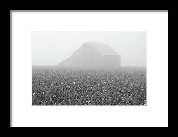 Foggy Summer Barn Framed Print featuring the photograph Foggy Summer Barn by Dylan Punke