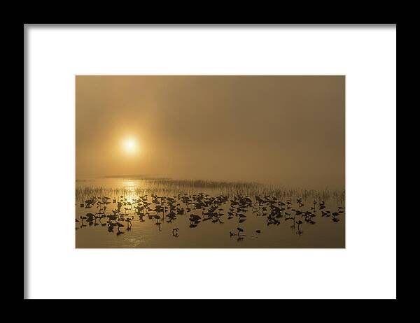 Kissimmee Lake Framed Print featuring the photograph Foggy Sunrise by Randall Evans