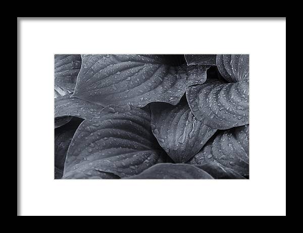 Folds Of Selenium Framed Print featuring the photograph Folds of Selenium by Rachel Cohen