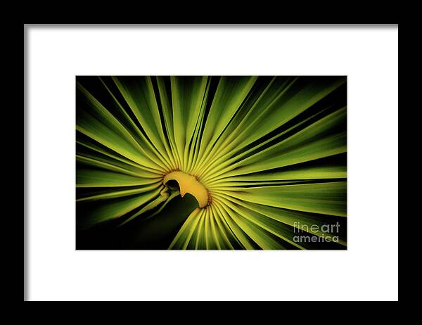 Foliage Framed Print featuring the photograph Foliage Burst by Becqi Sherman