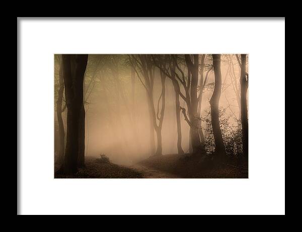 Autumn Framed Print featuring the photograph Follow the Light by Tim Abeln