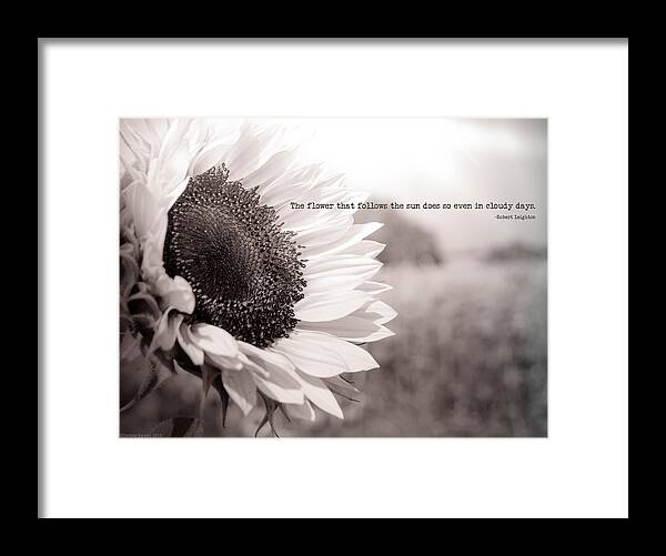 Sunflower Framed Print featuring the photograph Follow the Sun by Debbie Karnes