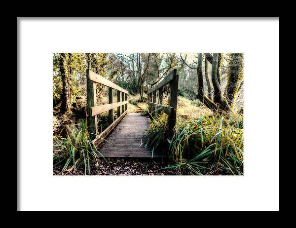 Dimminsdale Framed Print featuring the photograph Foot Bridge in Winter by Nick Bywater
