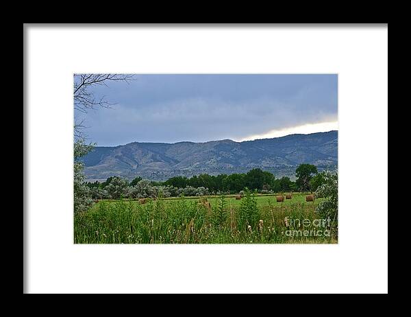 Foothills Framed Print featuring the photograph Foothills of Fort Collins by Cindy Schneider