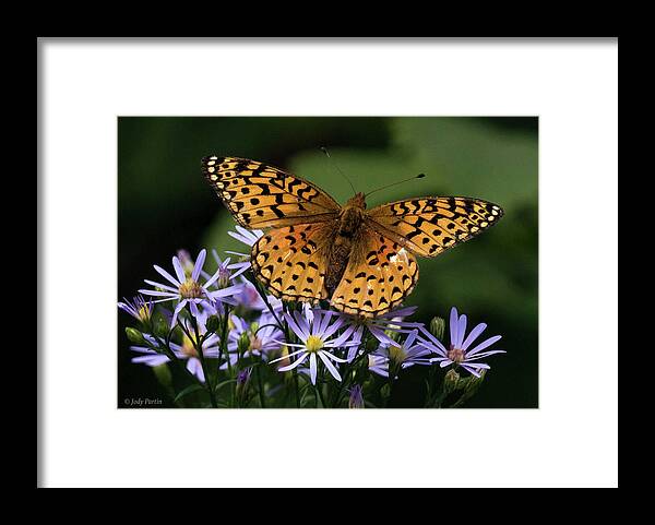 Flower Framed Print featuring the photograph For Love of Summer by Jody Partin