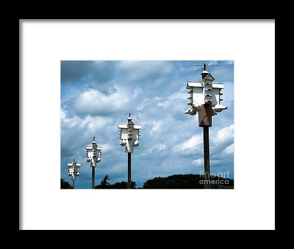 Bird Houses Framed Print featuring the photograph For the Birds by Colleen Kammerer