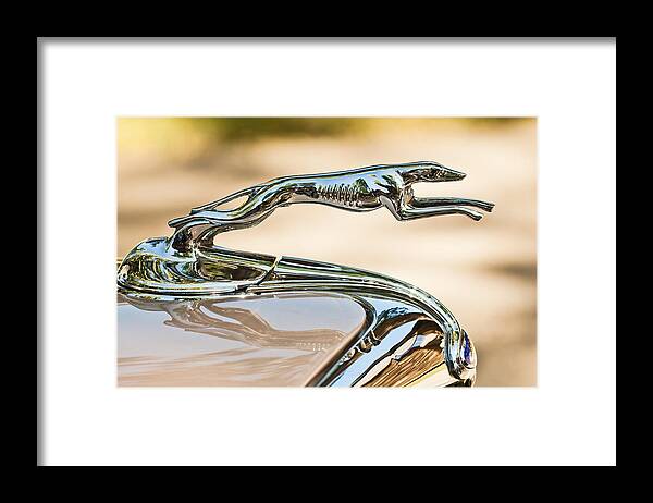 Ford Greyhound Framed Print featuring the photograph Ford Lincoln Greyhound Hood Ornament by Jill Reger