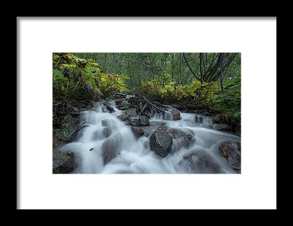 British Columbia Framed Print featuring the photograph Forest Cascades by Ryan Heffron