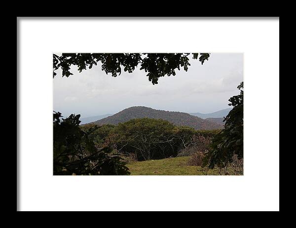 Mountains Framed Print featuring the photograph Forest Dark Space by Allen Nice-Webb