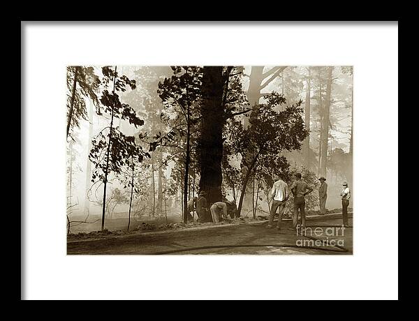 Forest Fire Framed Print featuring the photograph Forest fire Crew in Pine Forest Pebble Beach Sept. 7 1949 by Monterey County Historical Society
