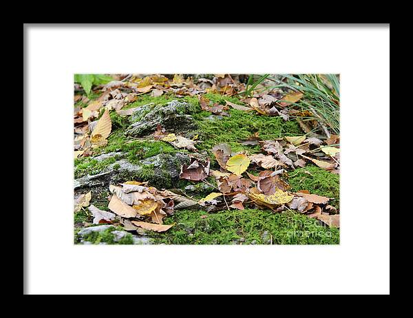 Moss Framed Print featuring the photograph Forest Floor by Allen Nice-Webb