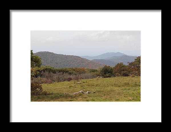  Top Of Mountain Framed Print featuring the photograph Forest Highlands by Allen Nice-Webb