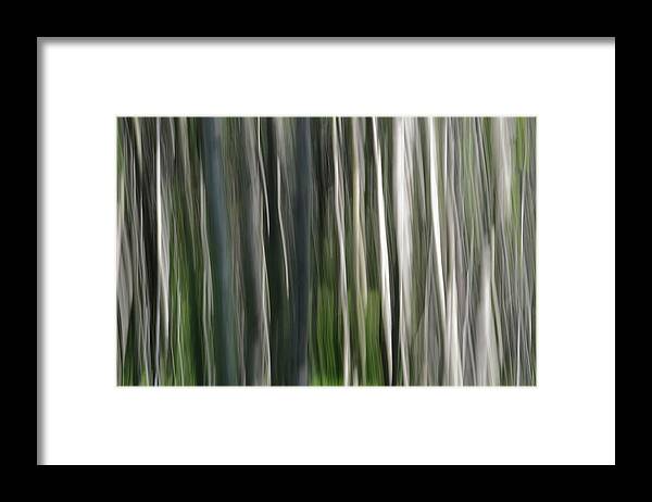 Forest Framed Print featuring the photograph Forest Illusion- Rebirth by Whispering Peaks Photography