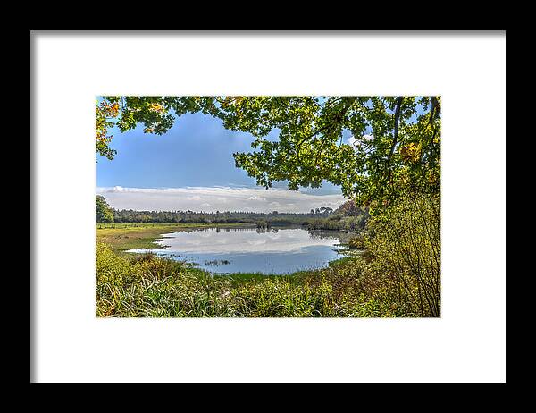 Lake Framed Print featuring the photograph Forest Lake Through The Trees by Frans Blok