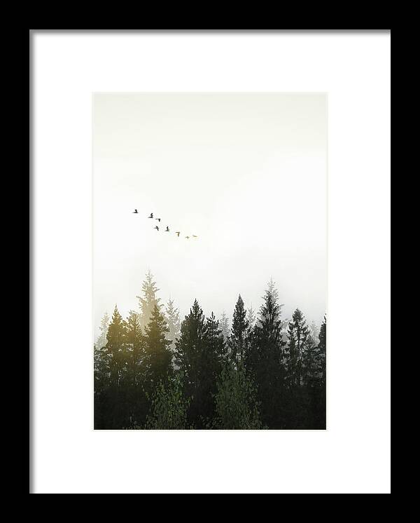 Forest Framed Print featuring the digital art Forest by Nicklas Gustafsson