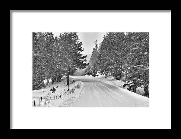 New Mexico Framed Print featuring the photograph Forest Road in the Snow by Jacqui Binford-Bell