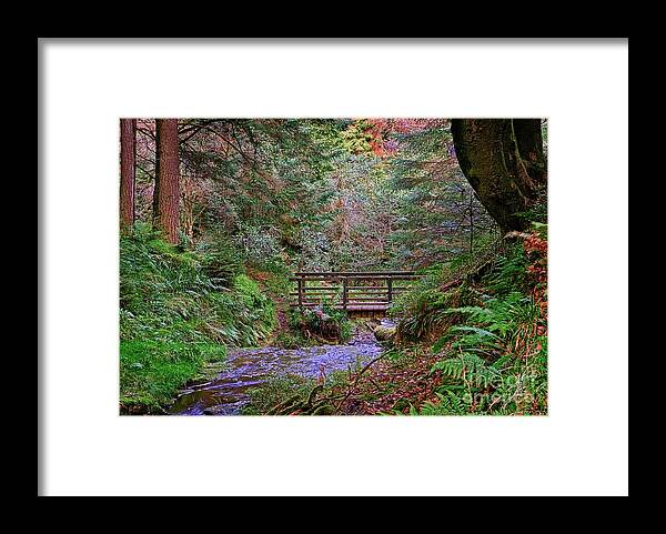 Forest Framed Print featuring the photograph Forest Stream by Martyn Arnold