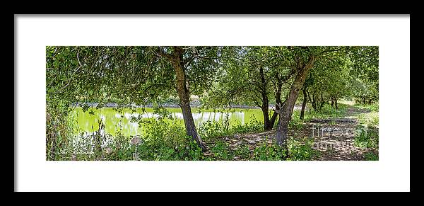 Forest Framed Print featuring the photograph Forest Trail by Arik Baltinester