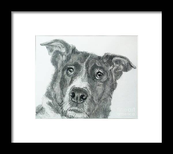 Dog Framed Print featuring the drawing Forever My Friend by Susan A Becker