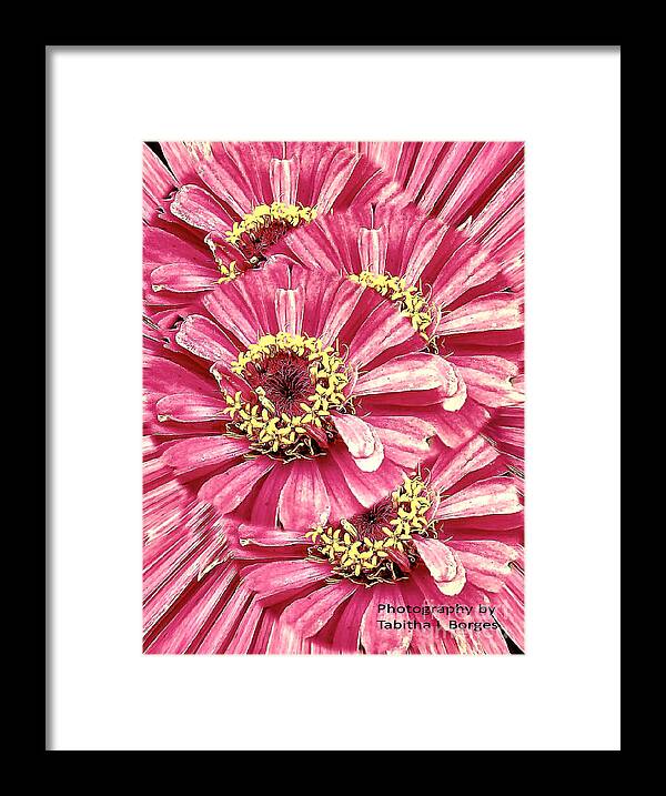 Floral Framed Print featuring the photograph Forever Pink by Tabitha Borges