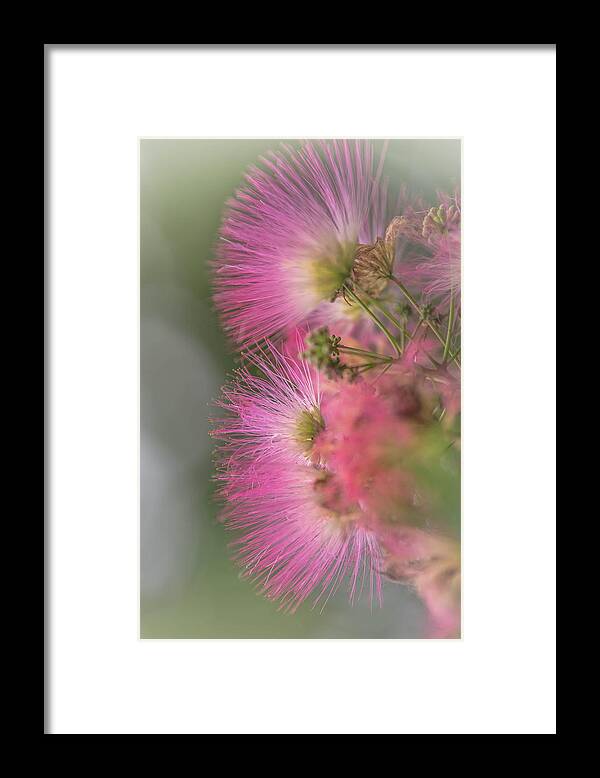Formosa Framed Print featuring the photograph Formosa Dream by Bruce Pritchett