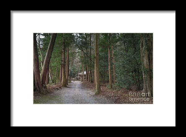 Shrine Framed Print featuring the photograph Forrest Shrine, Japan by Perry Rodriguez