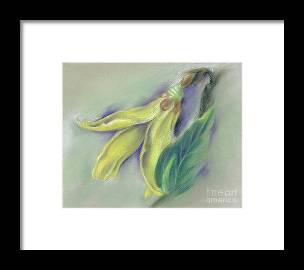 Botanical Framed Print featuring the painting Forsythia Springtime by MM Anderson