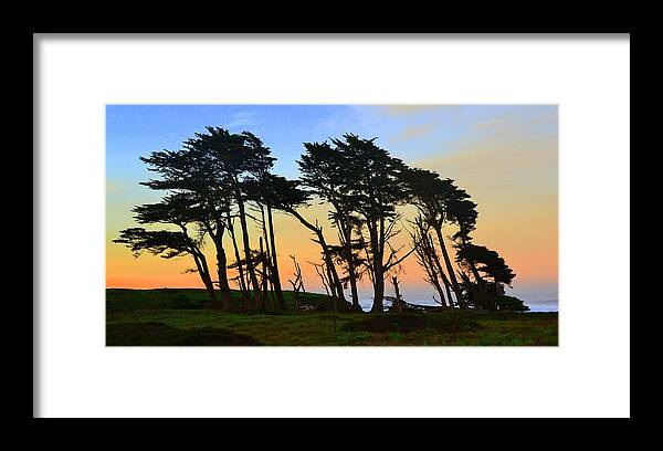 Fort Bragg Framed Print featuring the photograph Flexibility by Colleen Phaedra