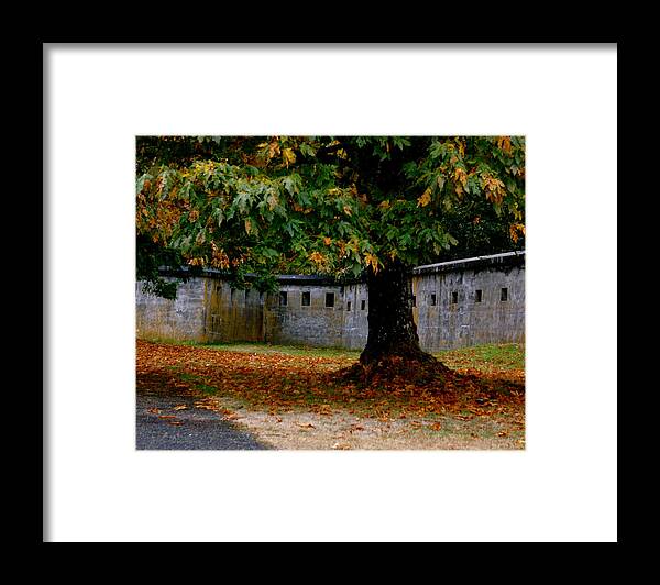 Nature Framed Print featuring the photograph Fort Rodd Hill by Sonja Anderson