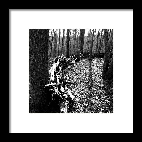 Woods Framed Print featuring the photograph Fortification by George Taylor
