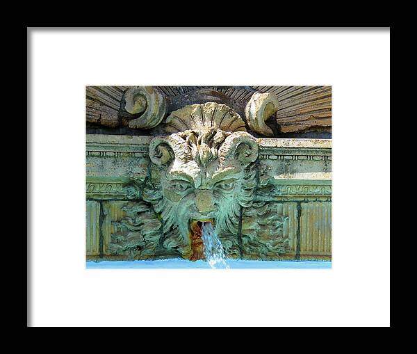 Thousand Island Framed Print featuring the photograph The Fountain by Dennis McCarthy