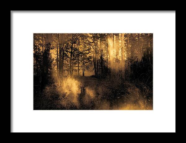 Foxfire Framed Print featuring the photograph FoxFire by Theresa Campbell