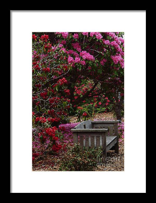 Botanical Gardens Framed Print featuring the photograph Fragrant Throne by JoAnn SkyWatcher