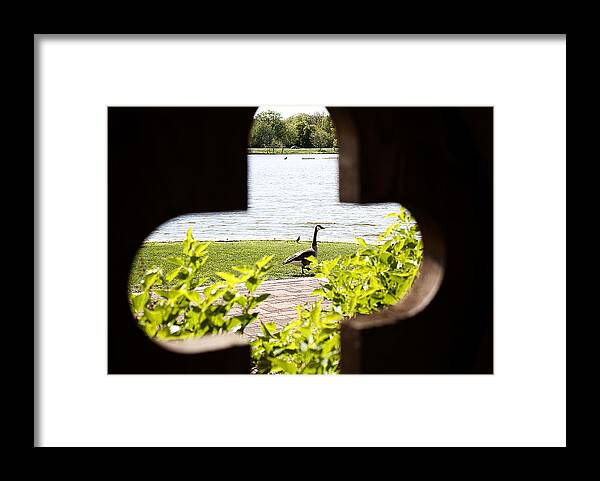 Bushes Framed Print featuring the photograph Framed Nature by Milena Ilieva