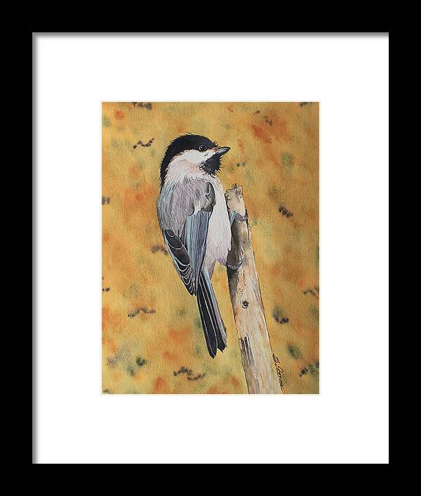 Chickadee Framed Print featuring the painting Free Bird by Sonja Jones